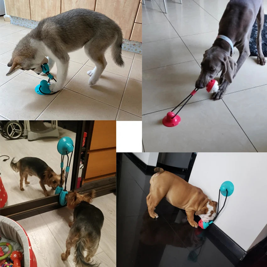 Dog Silicon Suction Cup Toys