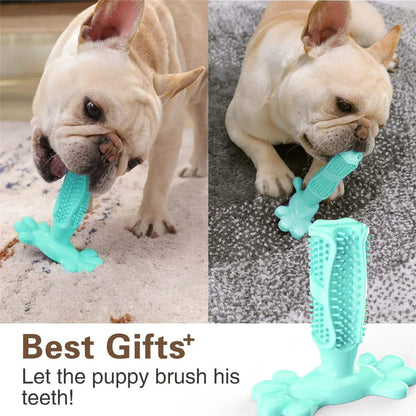 Dog Molar Bite Toy