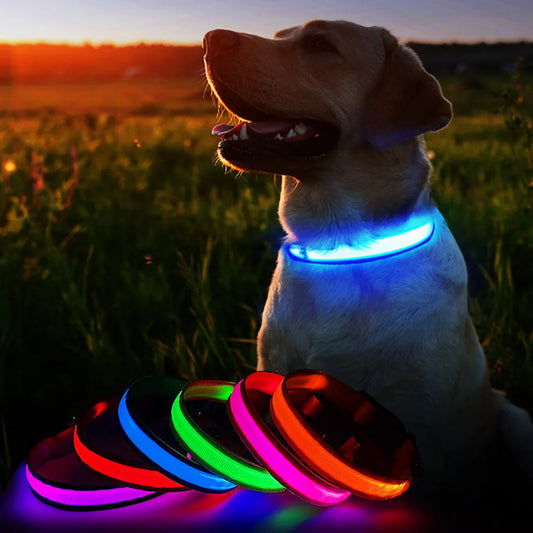 High Visibility Dog Night Safety Collar